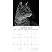 Calendrier 2026 Chats Portraits  PAPIER