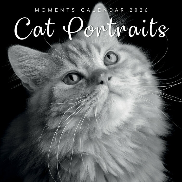 Calendrier 2026 Chats Portraits Noir et Blanc PAPIER