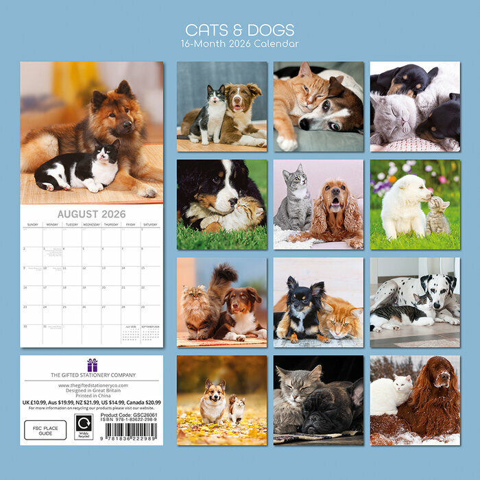 Calendrier Papier 2026 Chats et Chiens Drôles