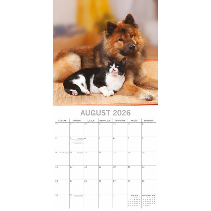 Calendrier Mural 2026 Chats et Chiens 