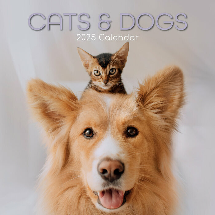 Calendrier Mural 2025 Chats et Chiens Drôles
