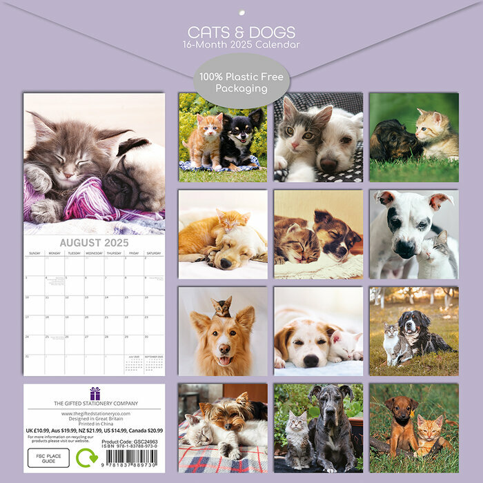 Calendrier papier 2025 Chats et Chiens Drôles