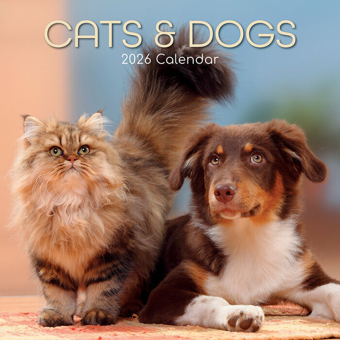 Calendrier Mural 2026 Chats et Chiens Drôles