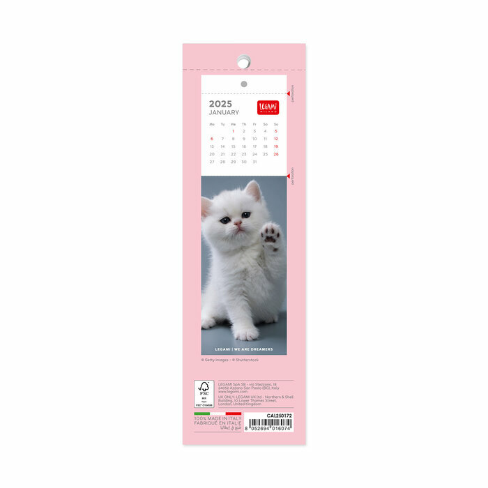 Calendrier Marque Page Livre 2025 Chatons Bbs