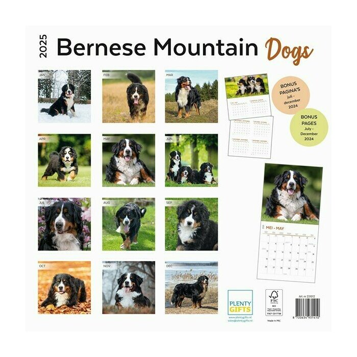 Calendrier Papier 2025 Race Bouvier Bernois