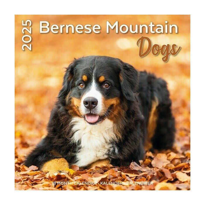 Calendrier mural 2025 Race Bouvier Bernois