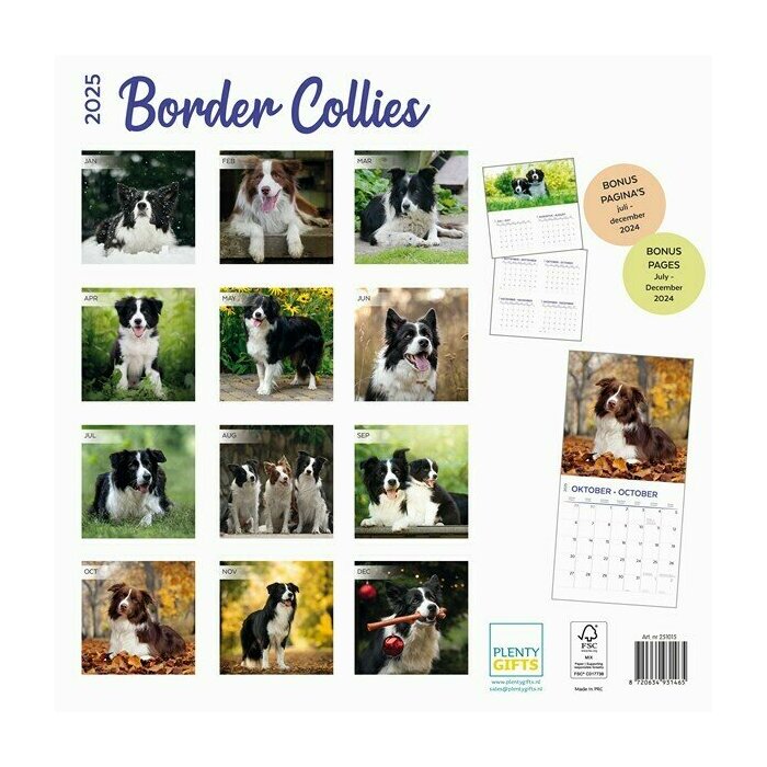 Calendrier Papier 2025 Race Border Collie