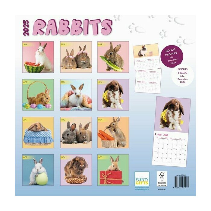 Calendrier papier 2025 Lapins Fun Studio