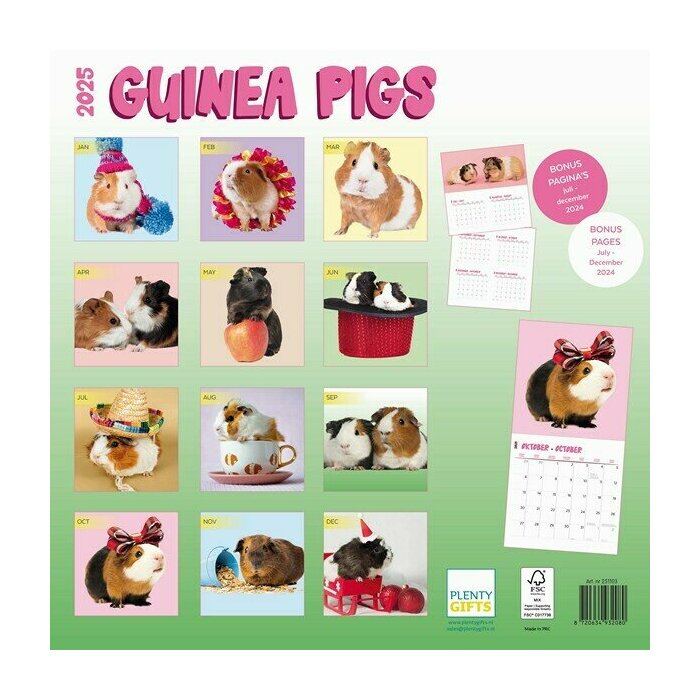 Calendrier Papier 2025 Cochon d'Inde Fun Studio