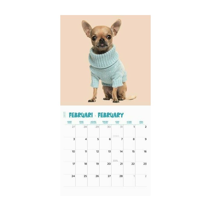 Calendrier 2025 Chihuahua Fun Studio