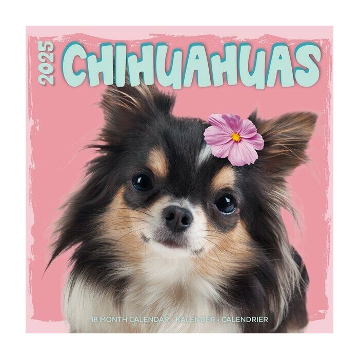 Calendrier Mural 2025 Chihuahua Fun Studio