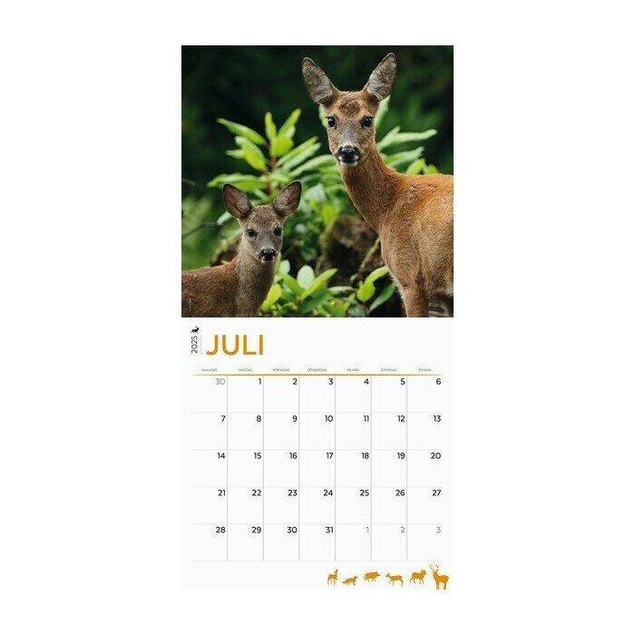 Calendrier 2025 Animaux de la Fort