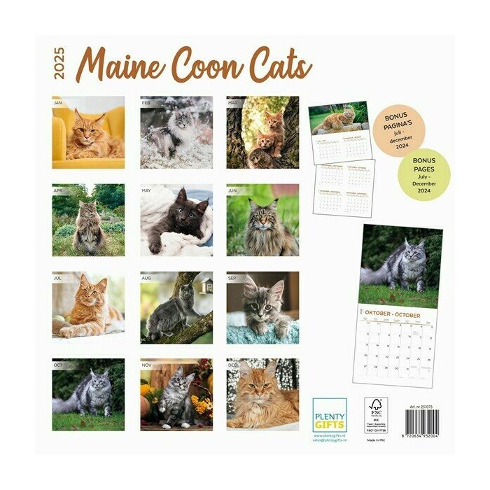 Calendrier papier 2025 Maine Coon Chats de Race