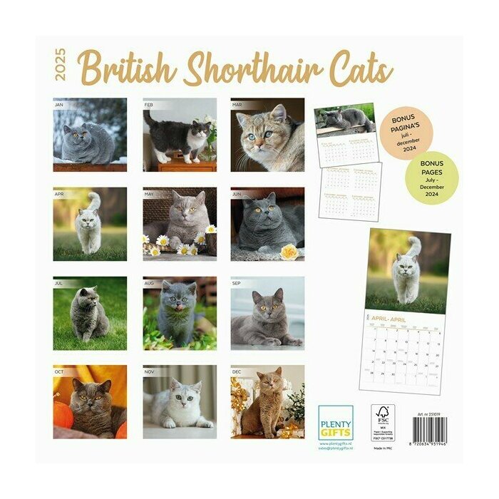 Calendrier Papier 2025 British Shorthair Chats de Race