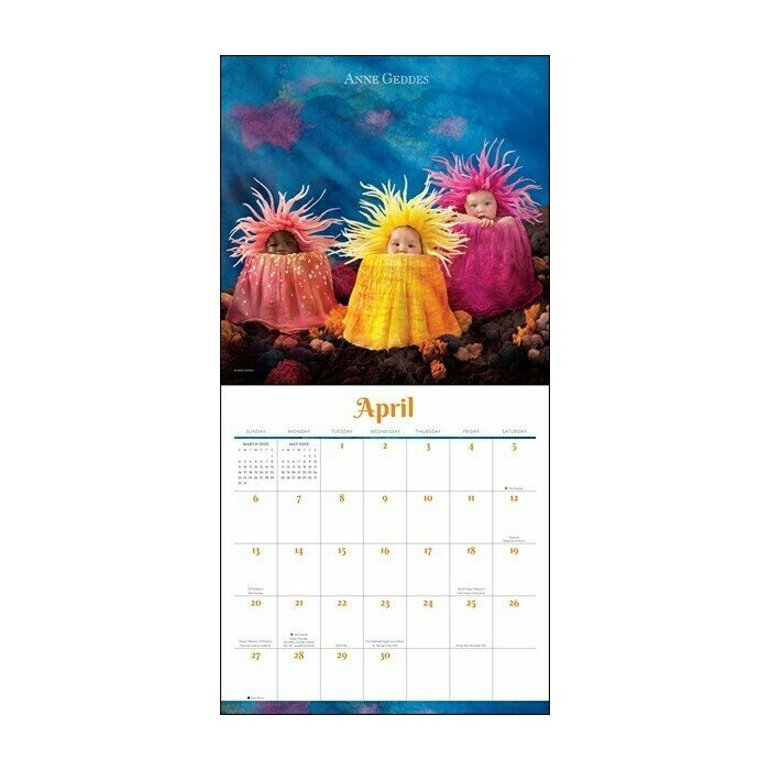 Calendrier 2025 Nourrissons Bbs Anne Geddes