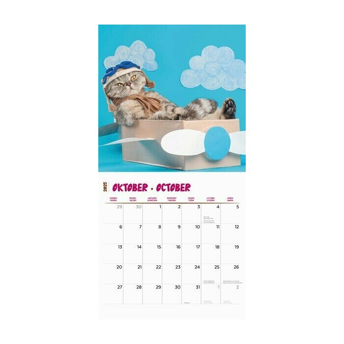 Calendrier 2025 Chats Humour Fun Studio