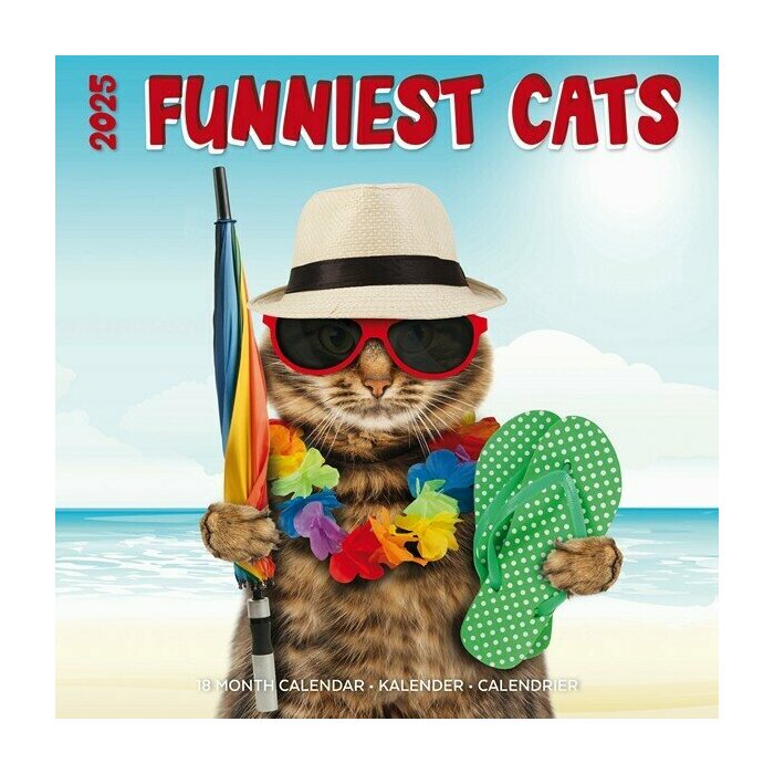 Calendrier Mural 2025 Chats Humour Fun Studio