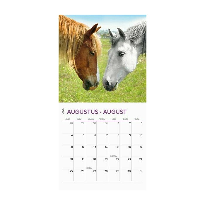 Calendrier 2025 Amoureux des Chevaux