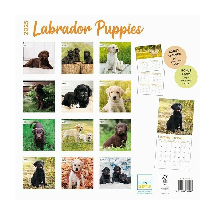 Calendrier Papier 2025 Labradors Chiots Toutes Couleurs