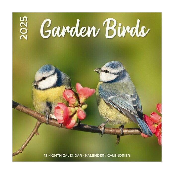 Calendrier Mural 2025 Oiseaux du Jardin Nature