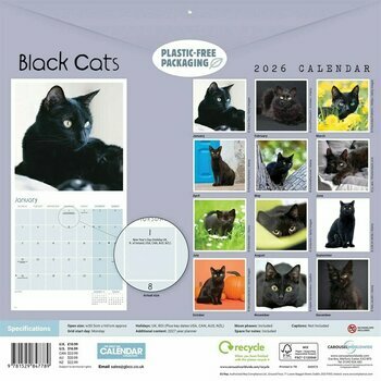 Calendrier 2026 Chats et Chatons Noirs