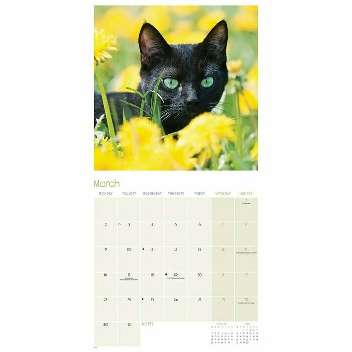 Calendrier Papier 2026 Chats Noirs
