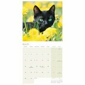 Calendrier Papier 2026 Chats Noirs