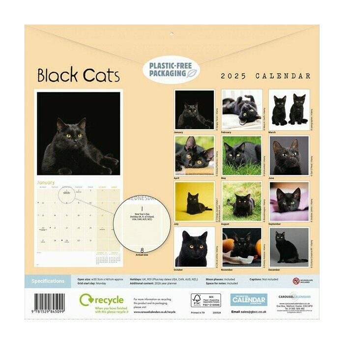 Calendrier Papier 2025 Chats Noirs