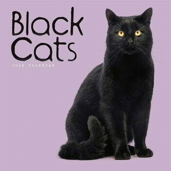 Calendrier 2026 Chats et Chatons Noirs