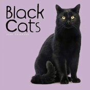 Calendrier Mural 2026 Chats Noirs