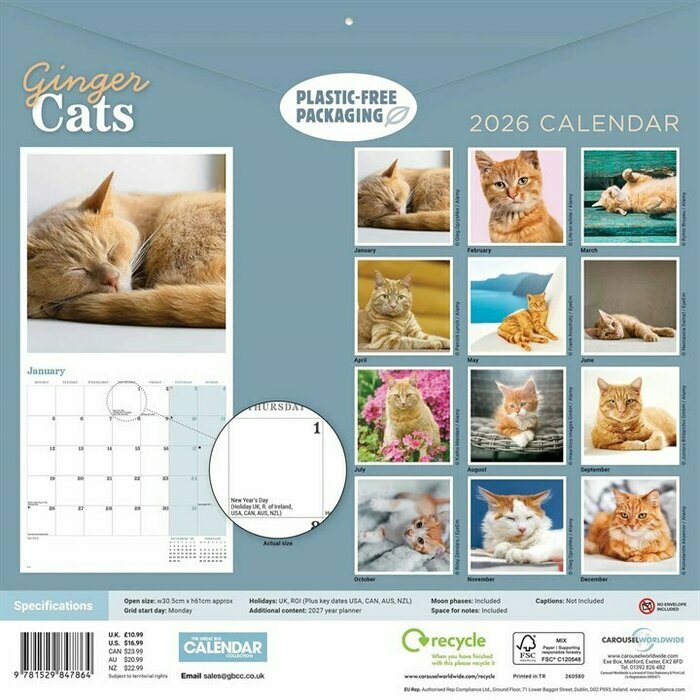 Calendrier 2026 Chats Roux Charmant