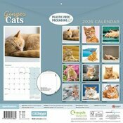 Calendrier 2026 Chats Roux Charmant