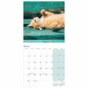 Calendrier Papier 2026 Chats Roux Charmant