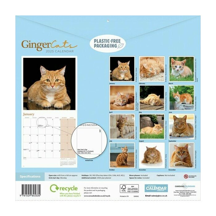 Calendrier Papier 2025 Chats Roux Charmant