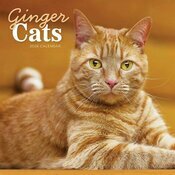 Calendrier Mural 2026 Chats Roux Charmant