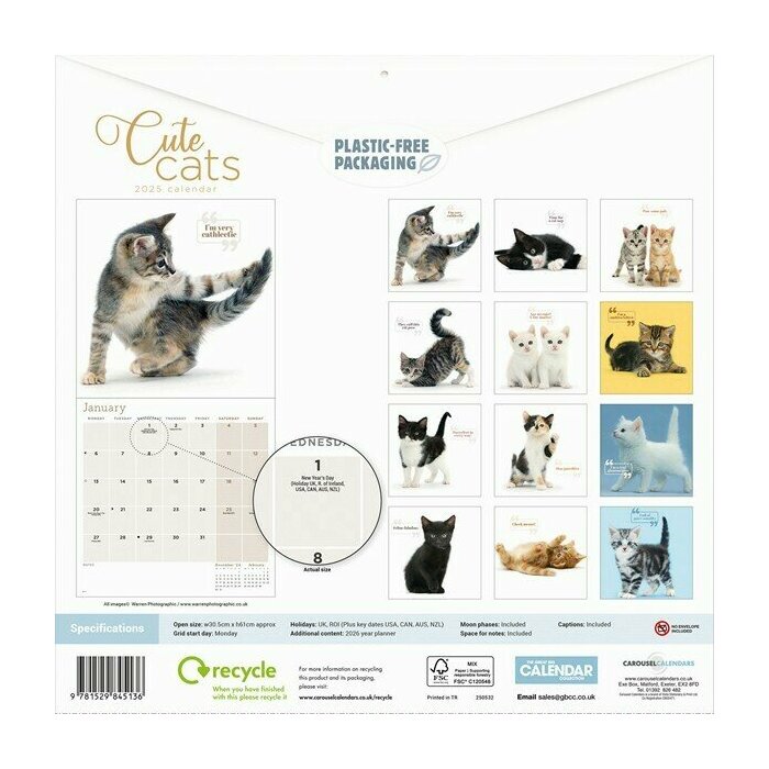 Calendrier Papier  2025 Chats Trop Mignons