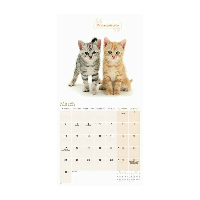 Calendrier 2025 Chats Trop Mignons