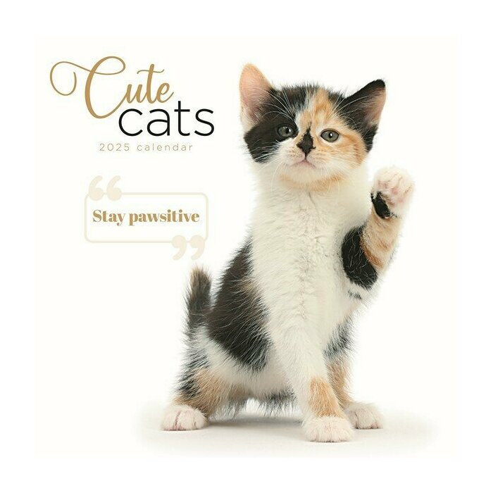 Calendrier Mural 2025 Chats Trop Mignons