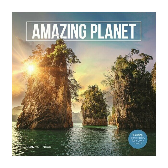 Calendrier Mural 2025 Plante tonnante Paysage