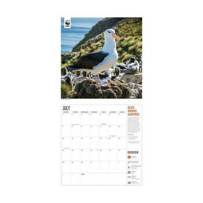 Calendrier 2025 Animaux sauvages WWF
