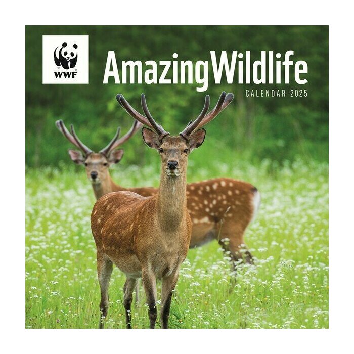CalendrierMural 2025 Animaux sauvages WWF