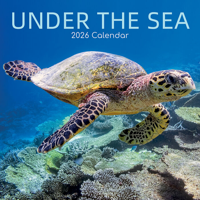 Calendrier Mural 2026 Vie sous marine Rcifs