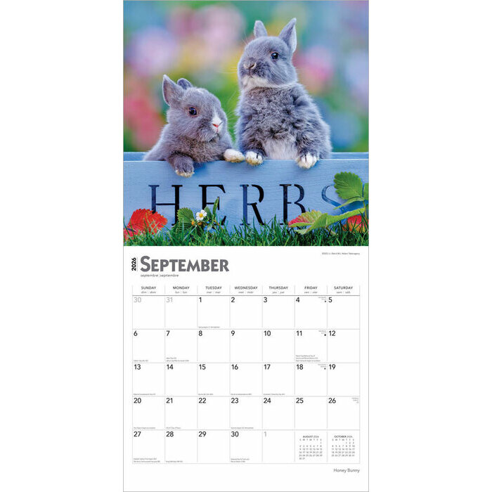 Calendrier Papier 2025 Lapins Mignons