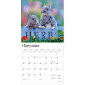 Calendrier Papier 2025 Lapins Mignons