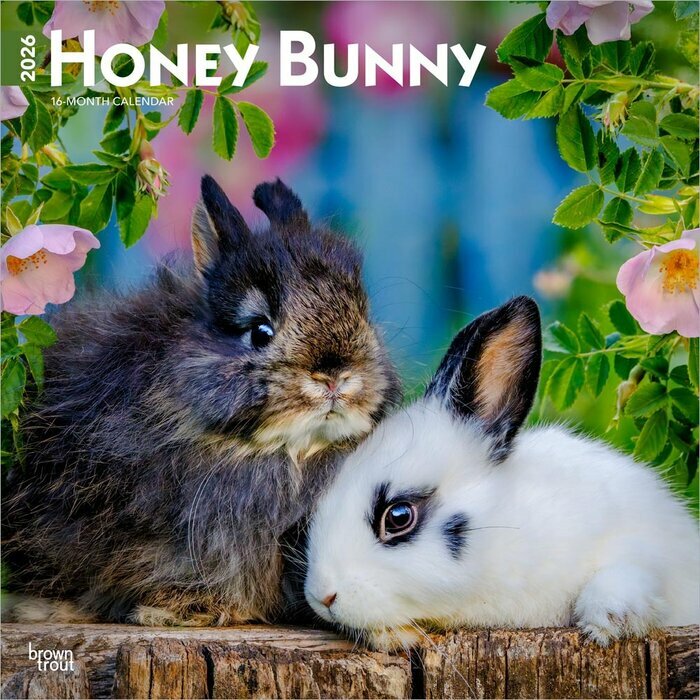 Calendrier Papier 2026 Lapins Mignons