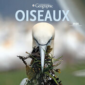Calendrier Papier  2025 Oiseaux D'Amrique du Nord