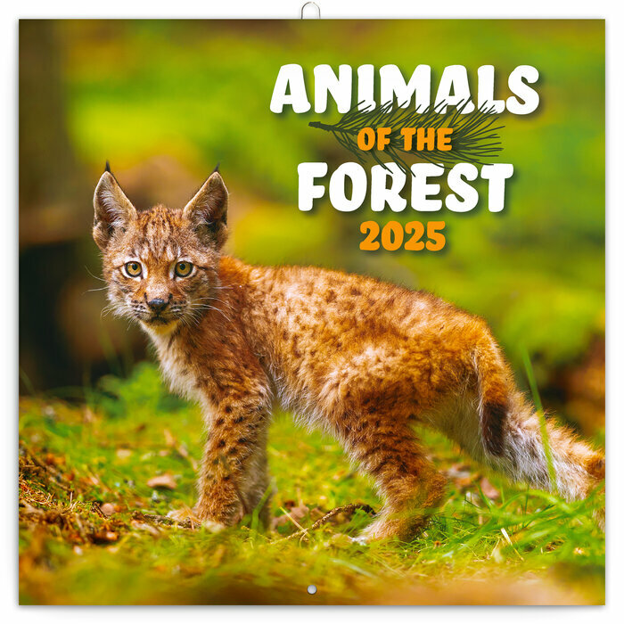 Calendrier Papier 2025 Animaux de la Fort