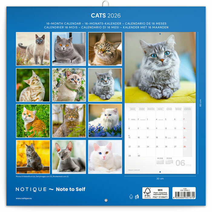 Calendrier Mural 2026 Chats Affectueux et Espiègles