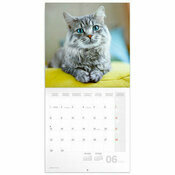 Calendrier Mural 2026 Chats Affectueux