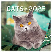 Calendrier Mural 2025 Chats Affectueux et Espiègles